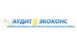 Аудитэкоконс